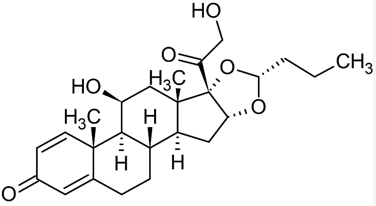 Budesonide: Isang Mahusay na Produkto sa Paggamot ng mga Sakit sa Paghinga