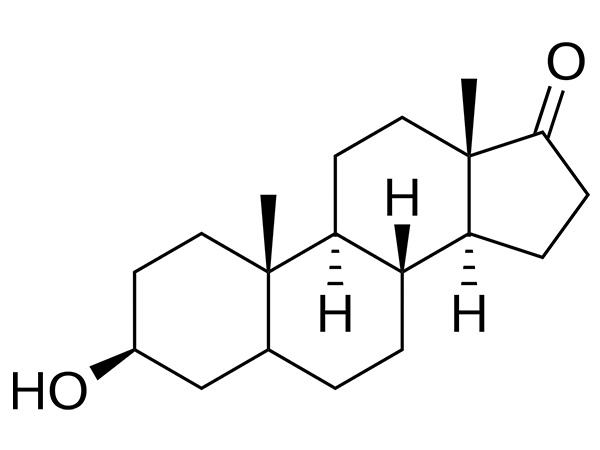 Ano ang Epiandrosterone at Bakit Ito Nagiging Sikat sa Modernong Pananaliksik sa Hormone